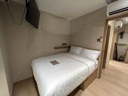 Mount Elizabeth Link (D9), Condominium #484100511